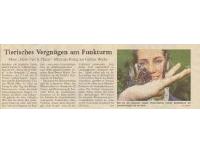 Tagesspiegel - Ameisen als Haustiere Tieriisches Vergnuegen am Funkturm